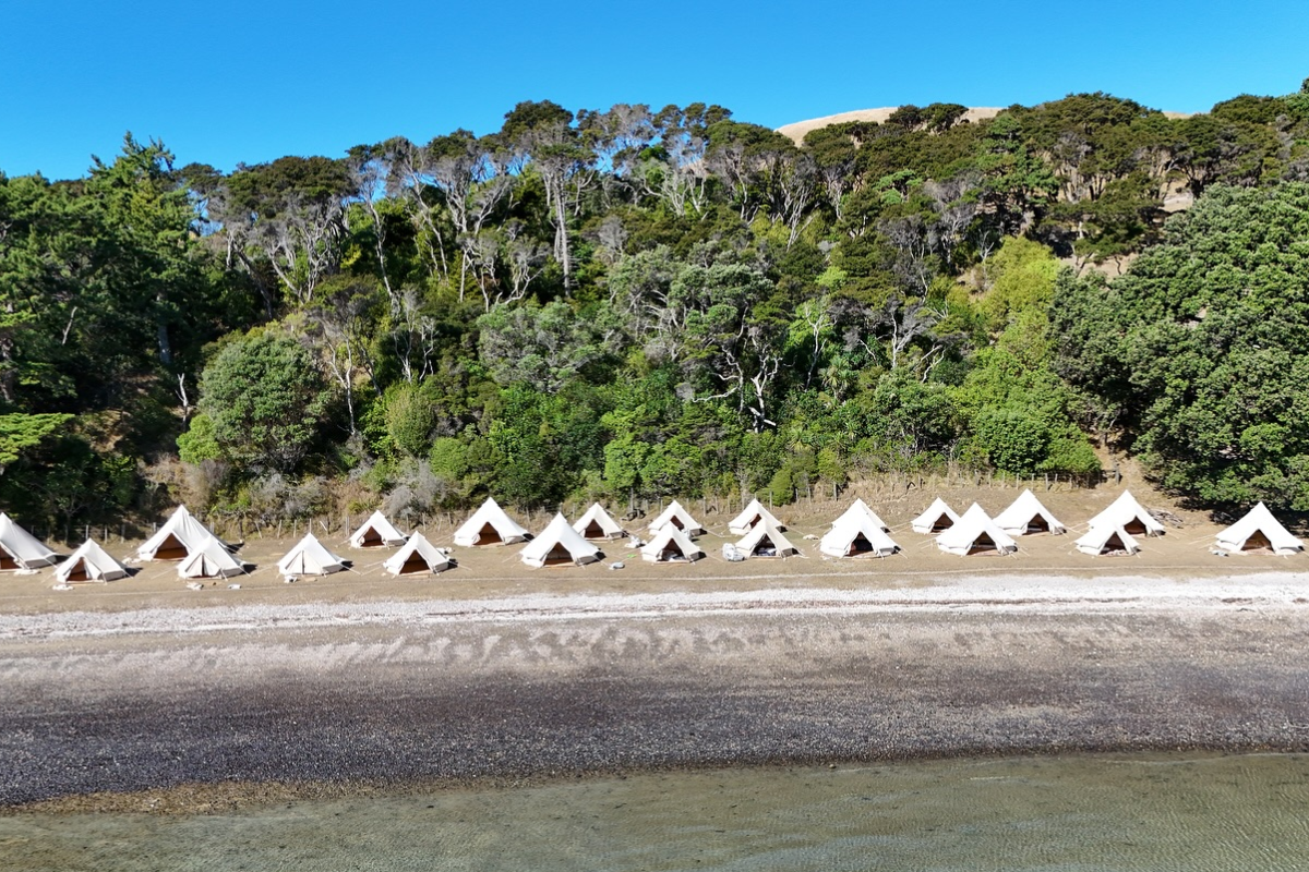 Social Nature Movement Social Nature Movement