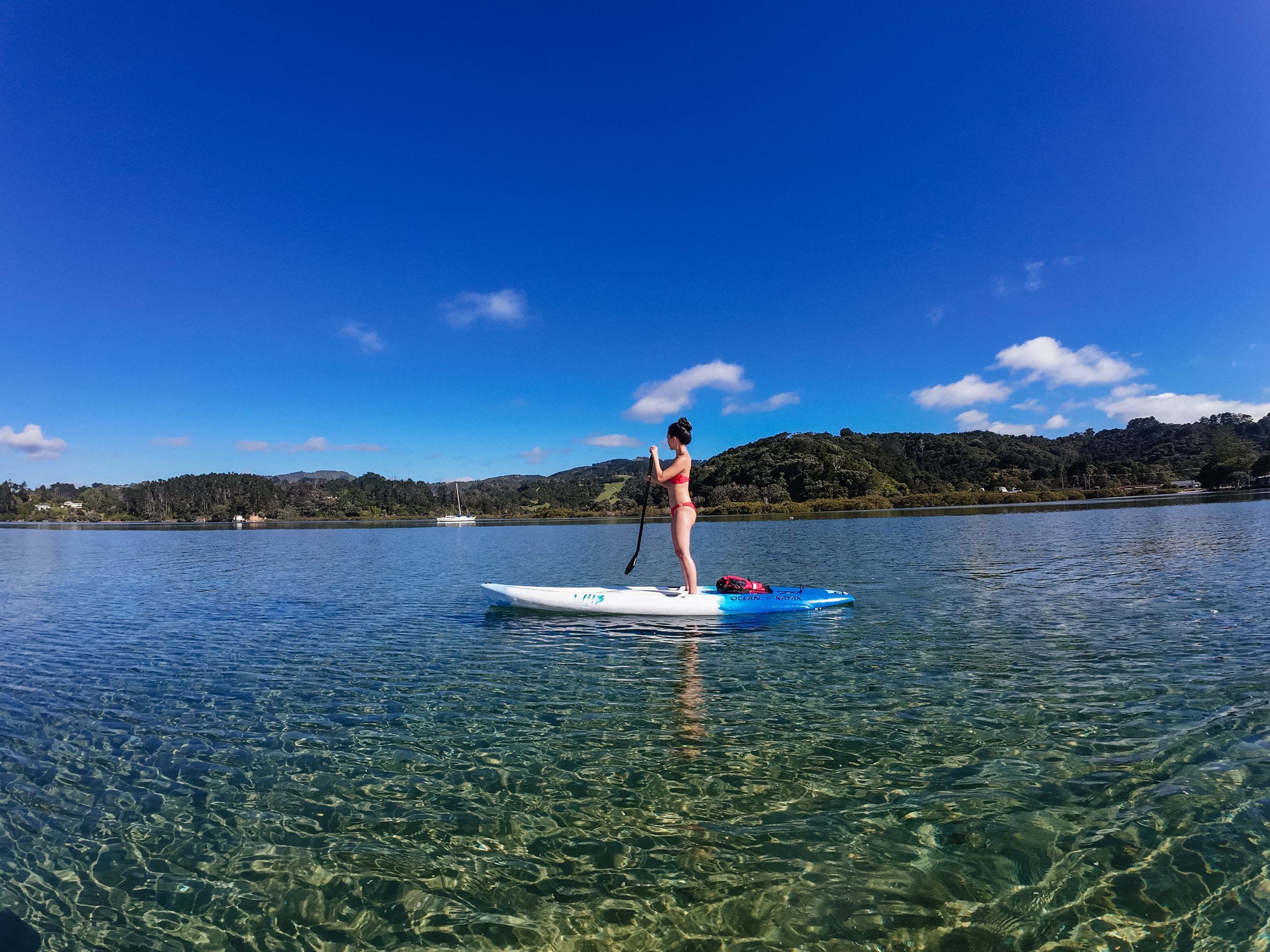 Exploring the North: Auckland's Hidden Gem