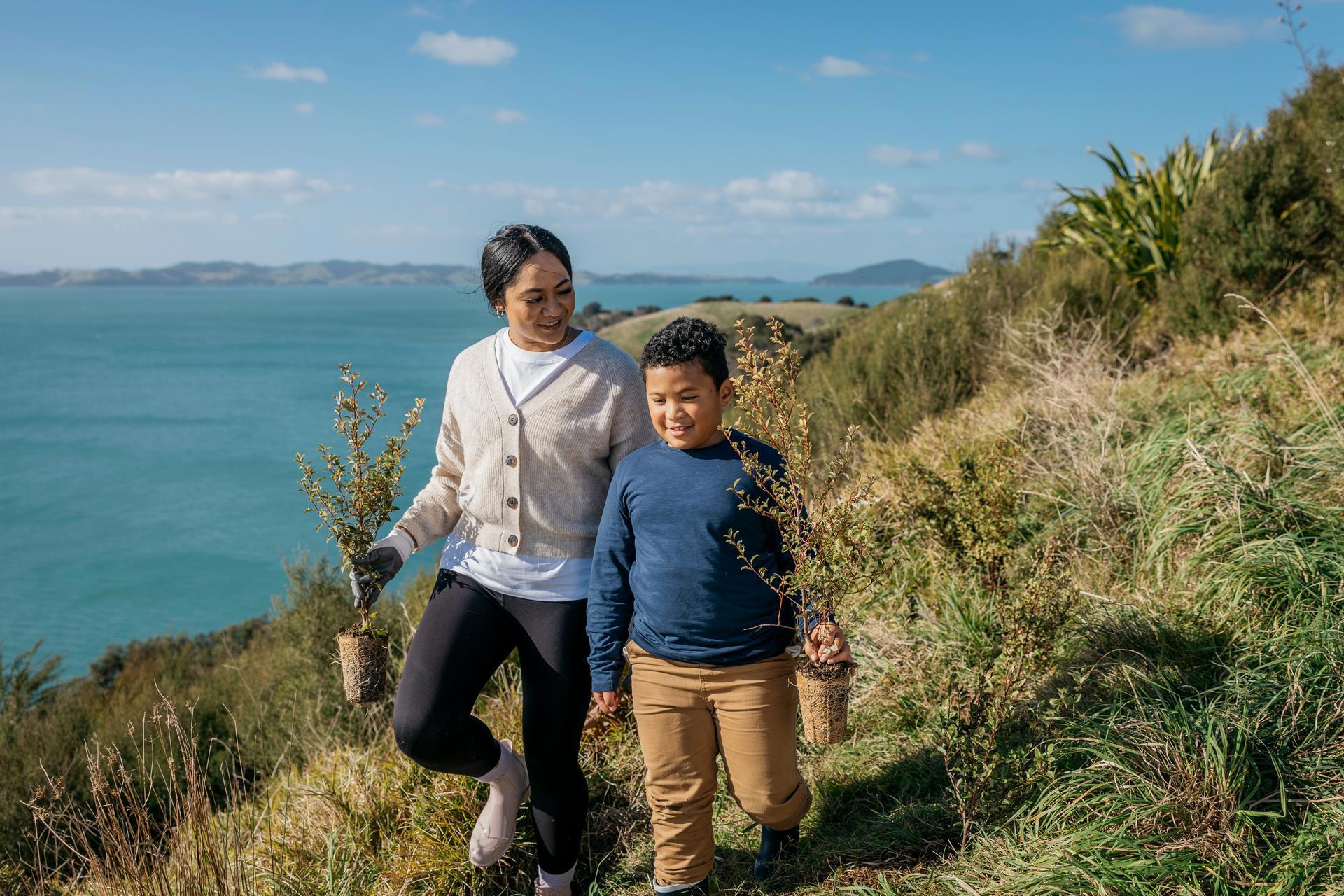 East Auckland  Walks You  Simply Must Do