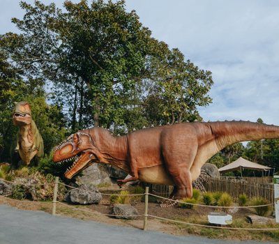 Dinosaur   Discovery  Track