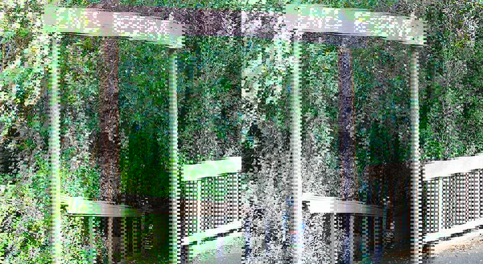 Alice Eaves Scenic Reserve