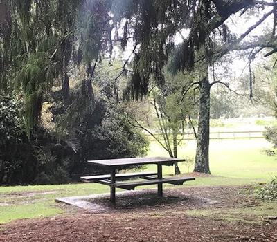 Murphy's Bush Reserve