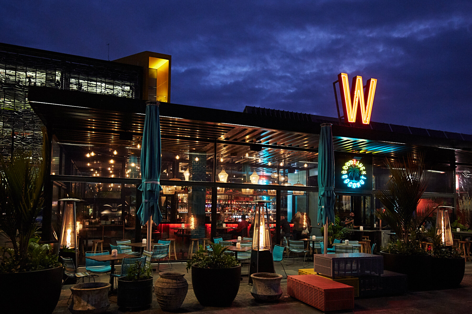 The Good  Luck Coconut