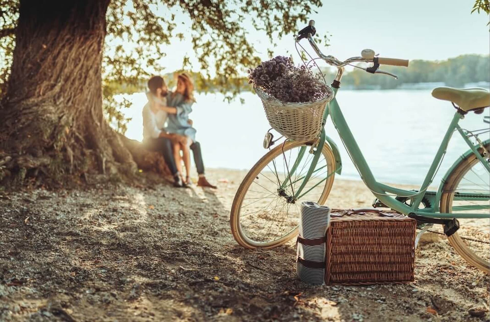 Matakana Village Picnic