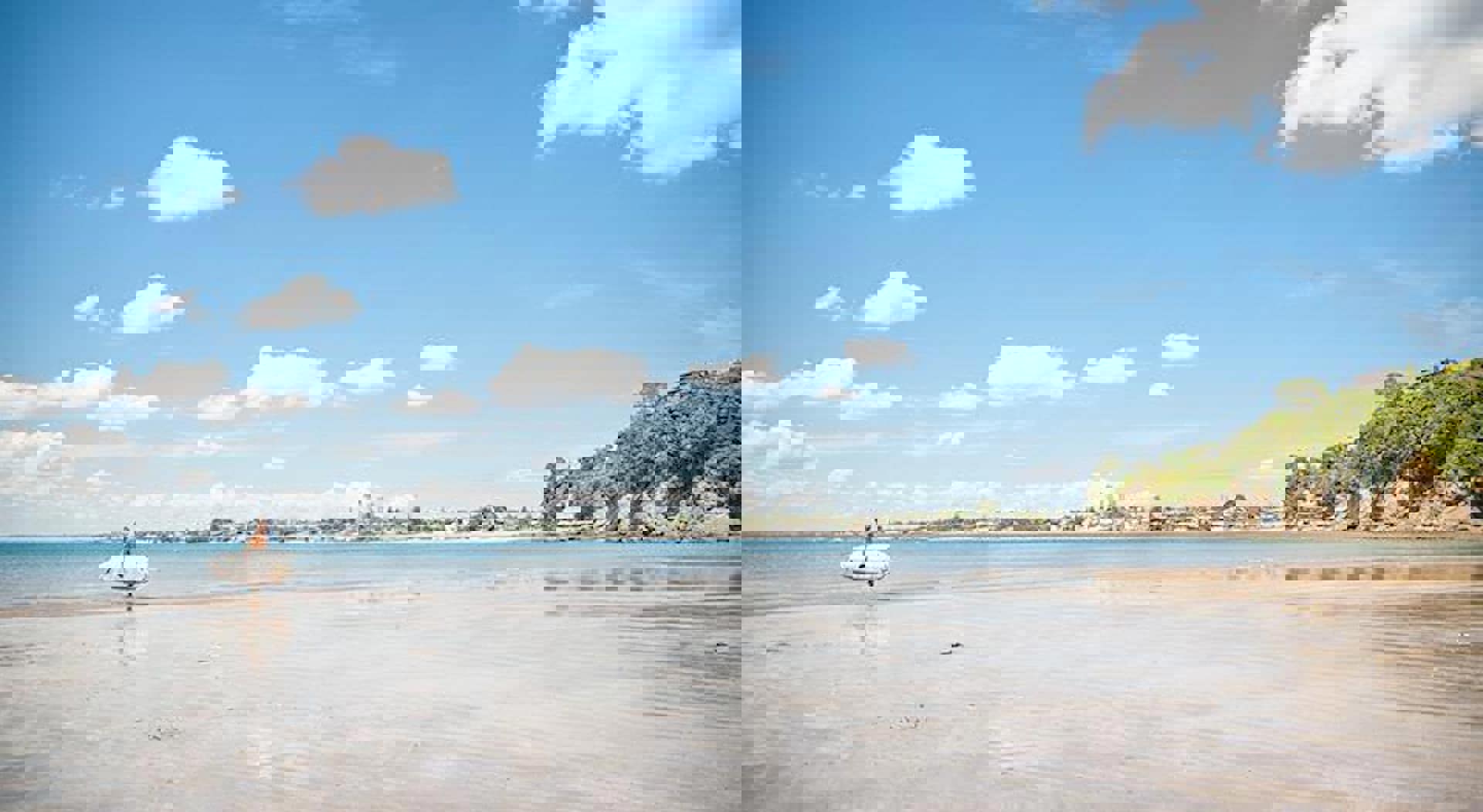 Castor Bay Beach Reserve