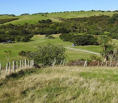 Te Haruhi Bay campground at Shakespear Regional Park