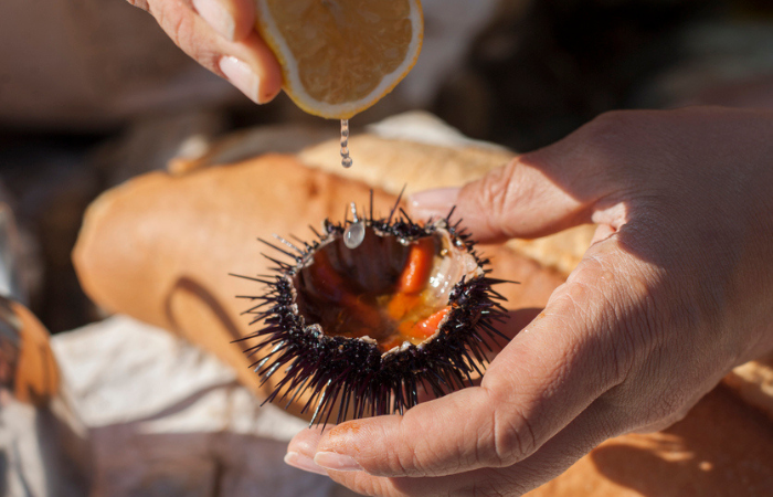 Two Column Image Text