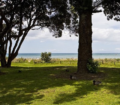 Orewa Beach Holiday Park
