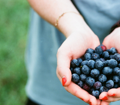 Pleasant Valley Blueberries