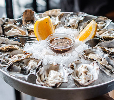 The Shucker Brothers