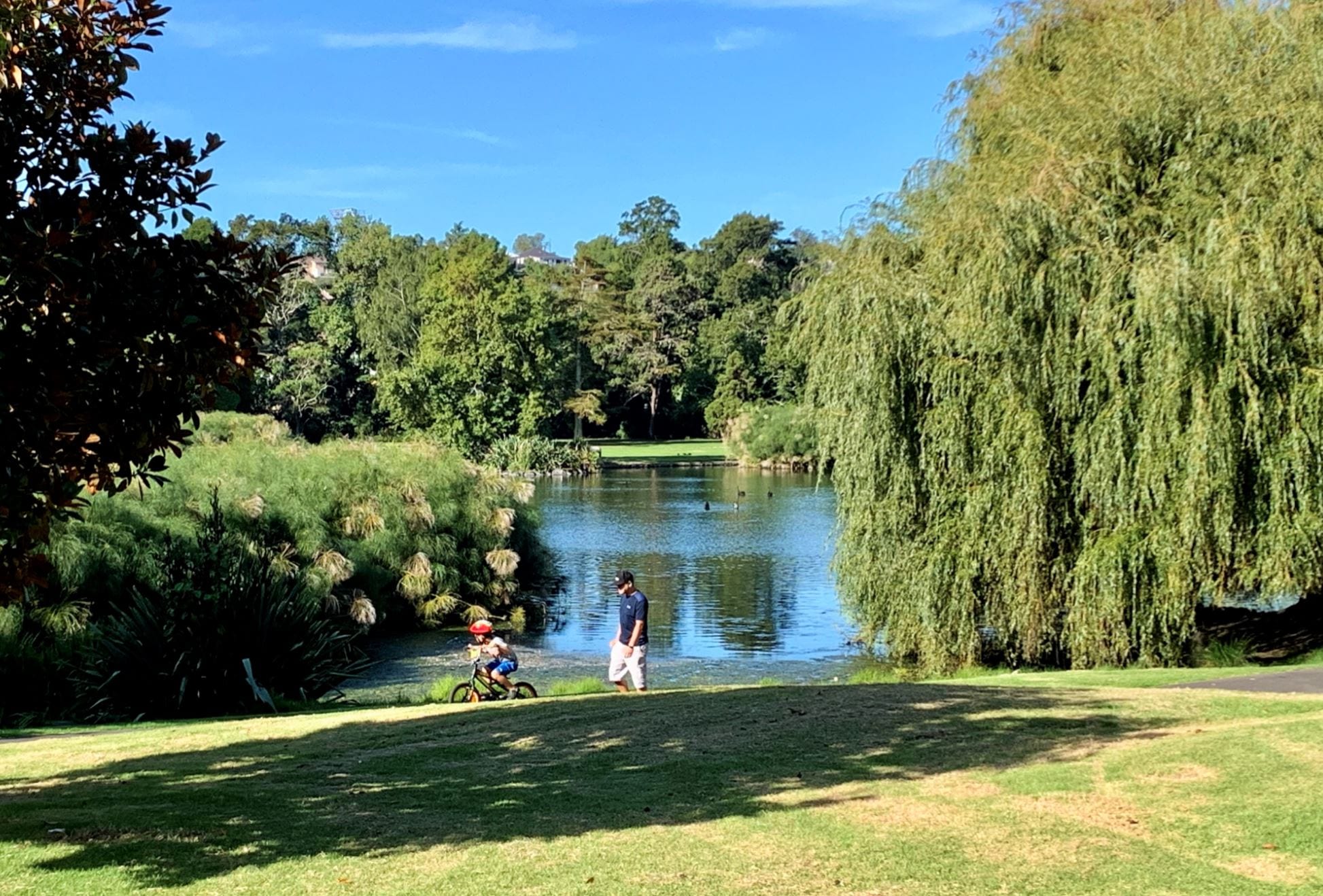 Western Springs   Lakeside Park 