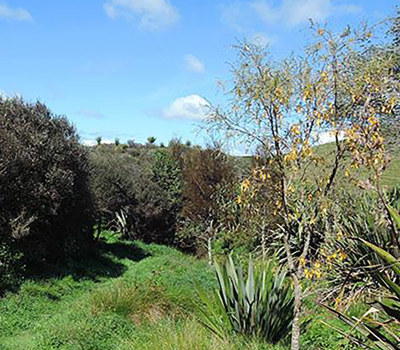 Duder Sustainable Path