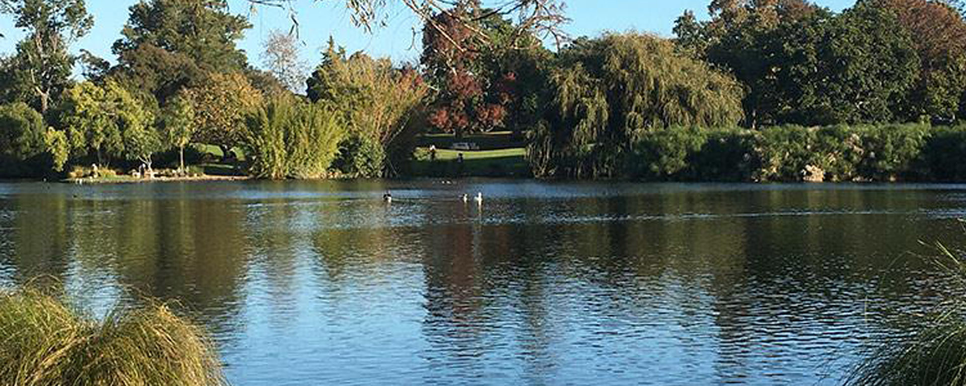 Western Springs Path