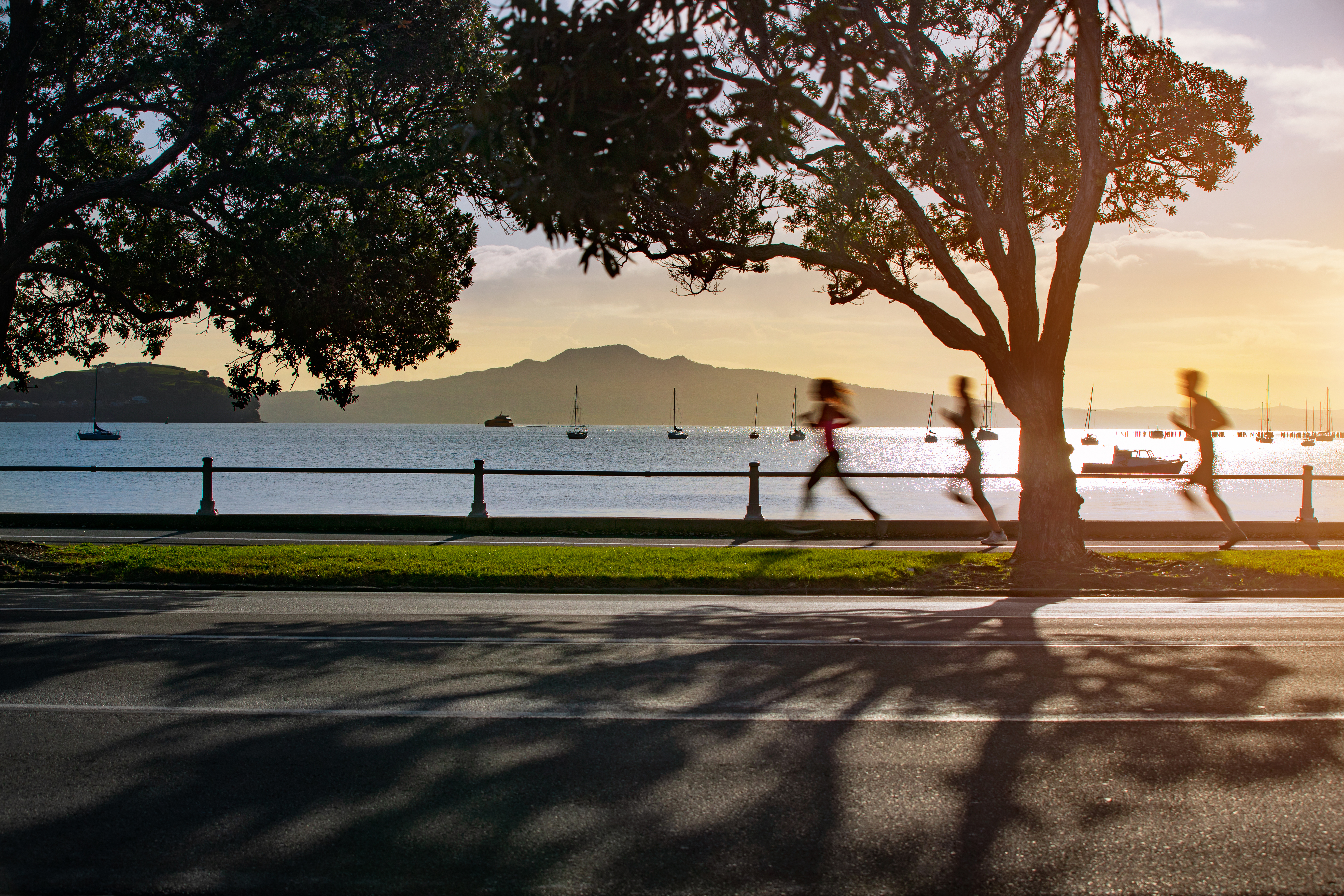 Tāmaki Drive  Coastal Path