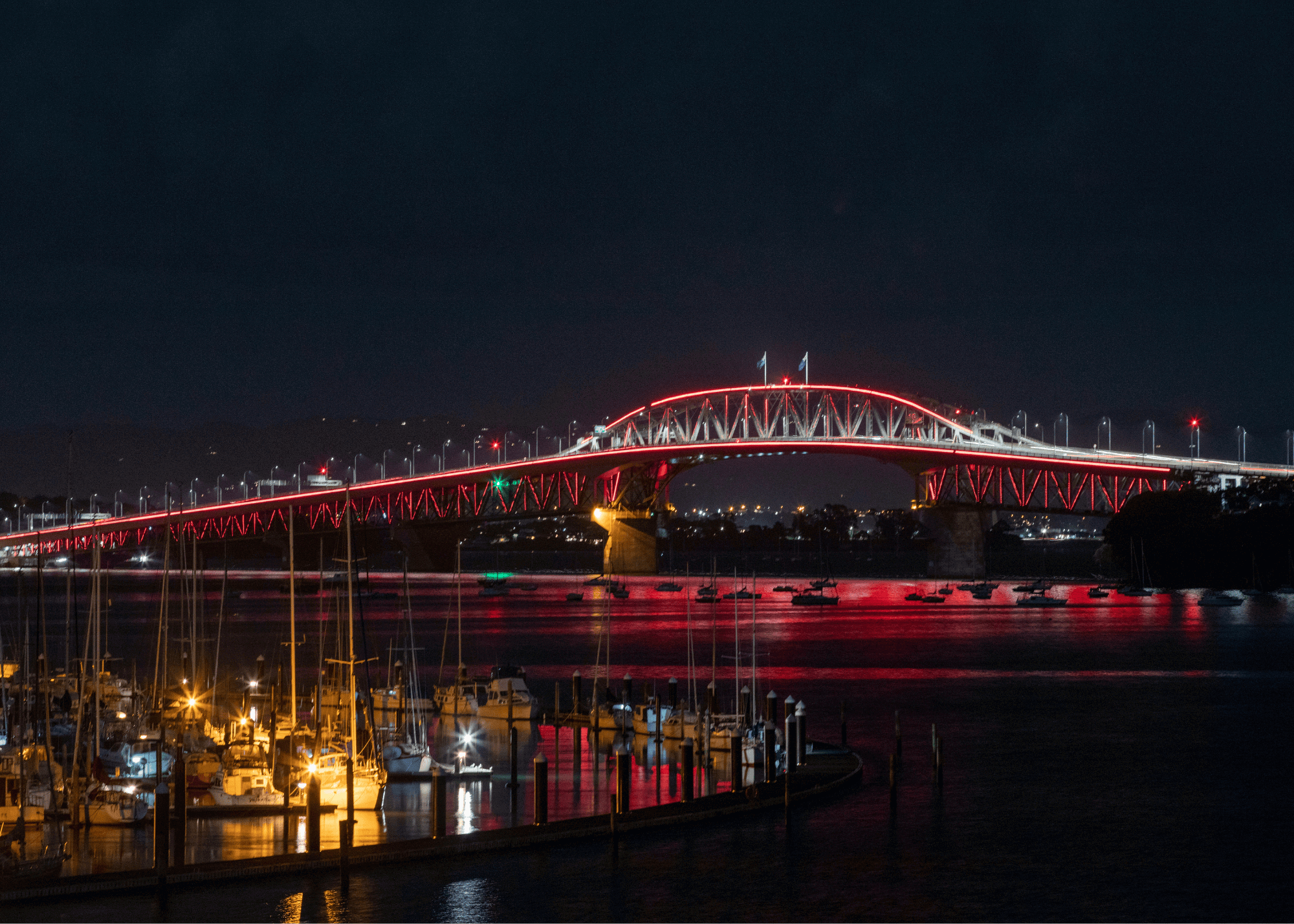 Vector Lights for Poppy Day