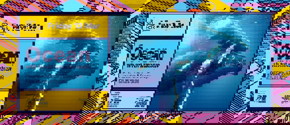 Silo Park: Ocean with David Attenborough