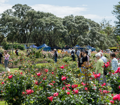 Parnell Festival of Roses