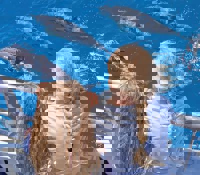 Tikapa Moana Whale & Dolphin Wildlife Cruise