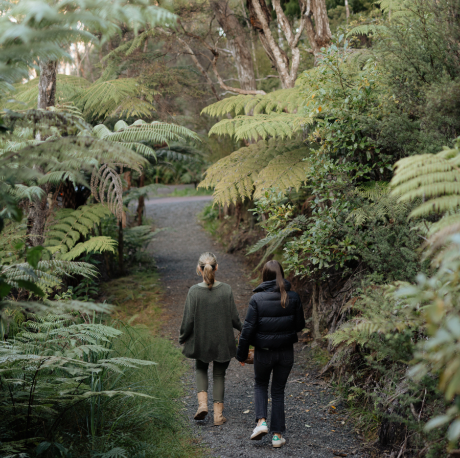 Nourishing Nature: A Regenerative Travel Experience