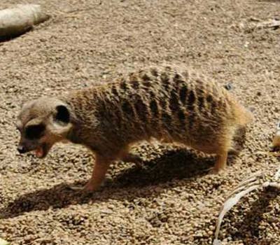 Halloween at Butterfly Creek