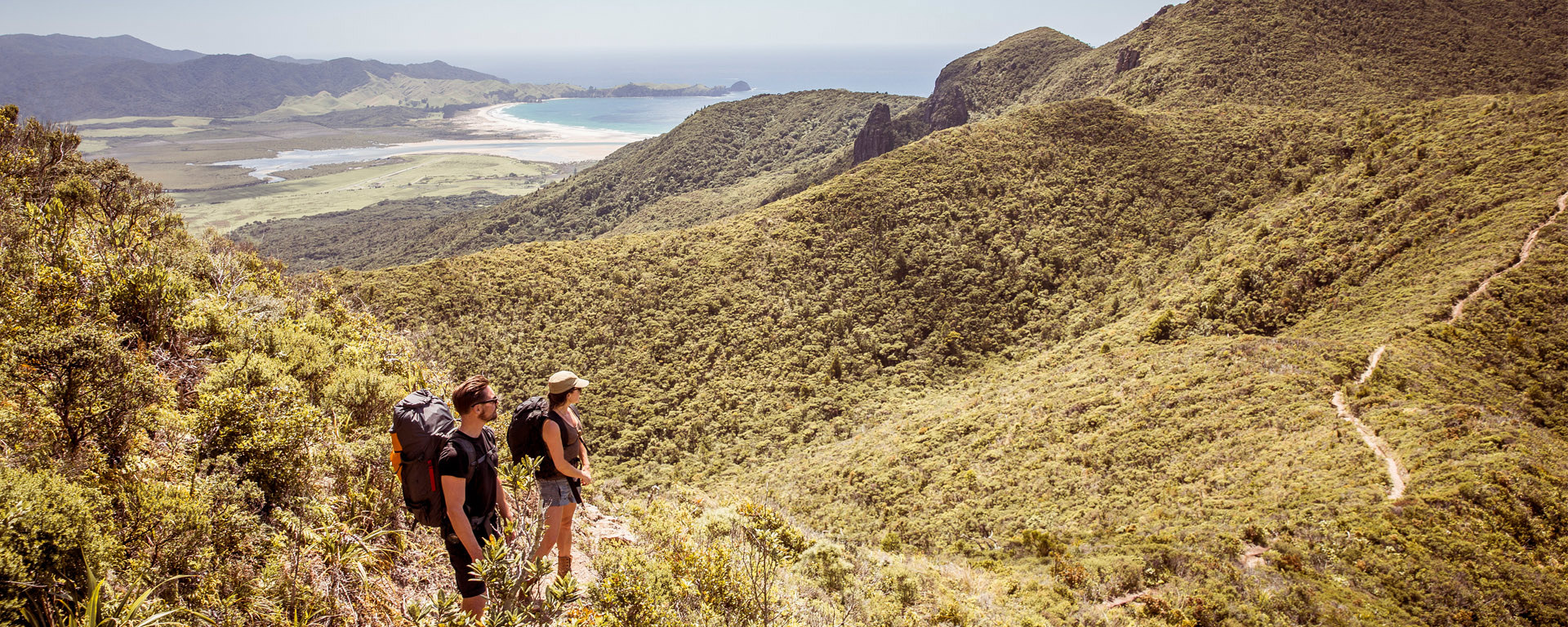 Aotea Great Barrier Island