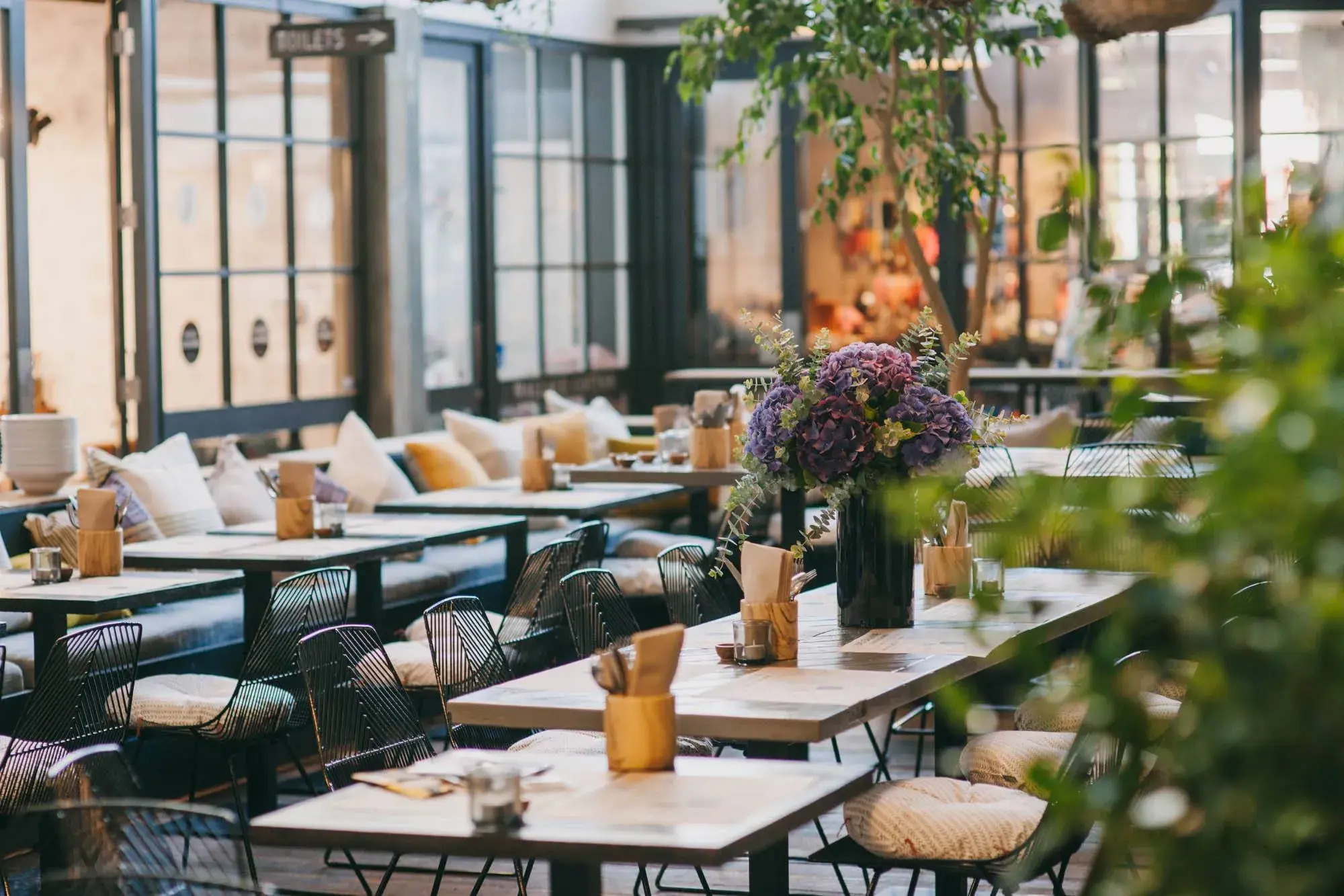 Bird On A Wire Ponsonby