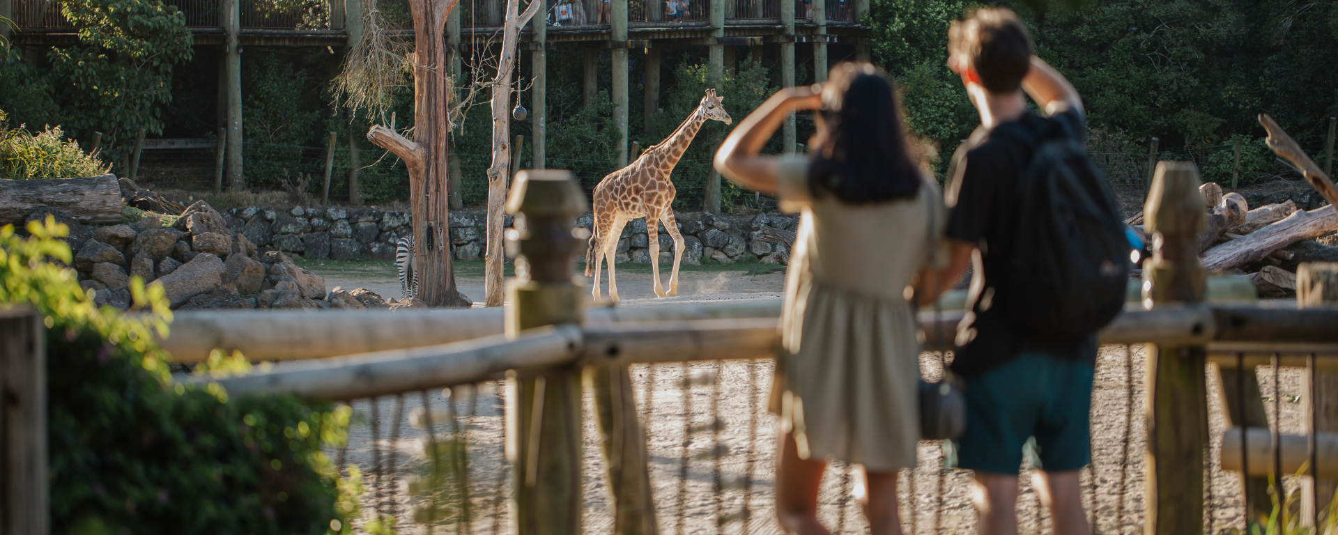 Auckland Zoo  Te Whare Kararehe o Tāmaki Makaurau
