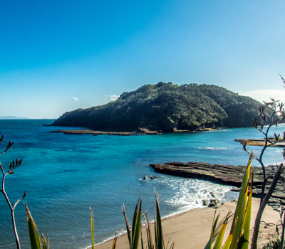 Goat Island  Experienced   Snorkellers Tour