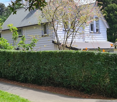 Dovecote House Bed and Breakfast