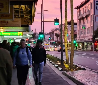 The Ponsonby And K RD Walking Tour