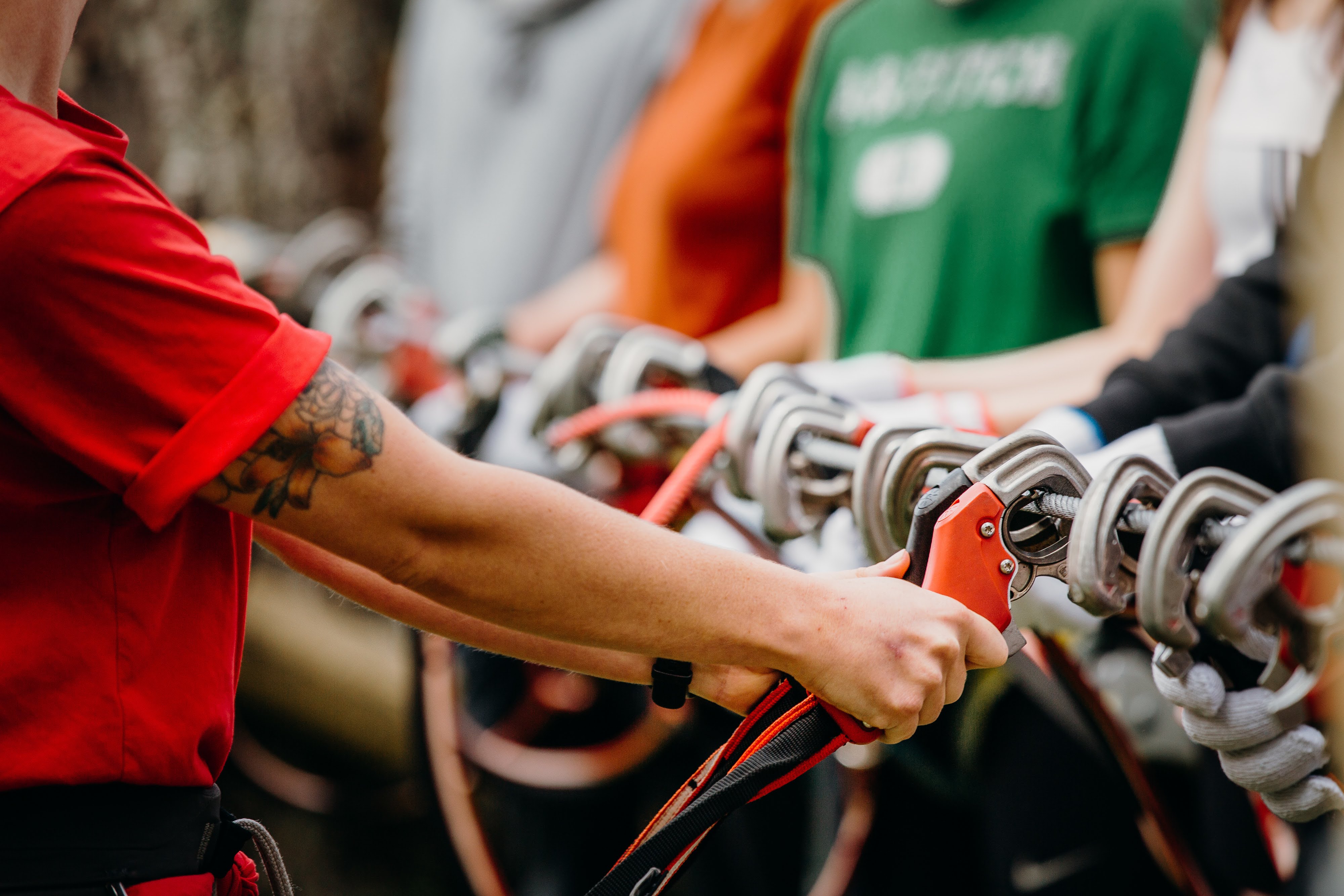 Adrenalin Forest Auckland