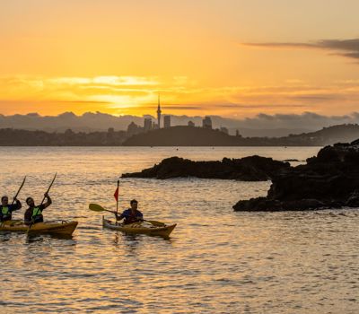 Auckland Sea Kayaks