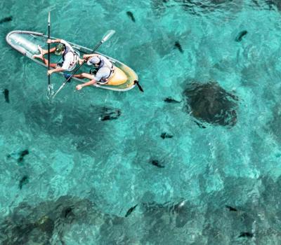 Goat Island Clear Kayak Hire