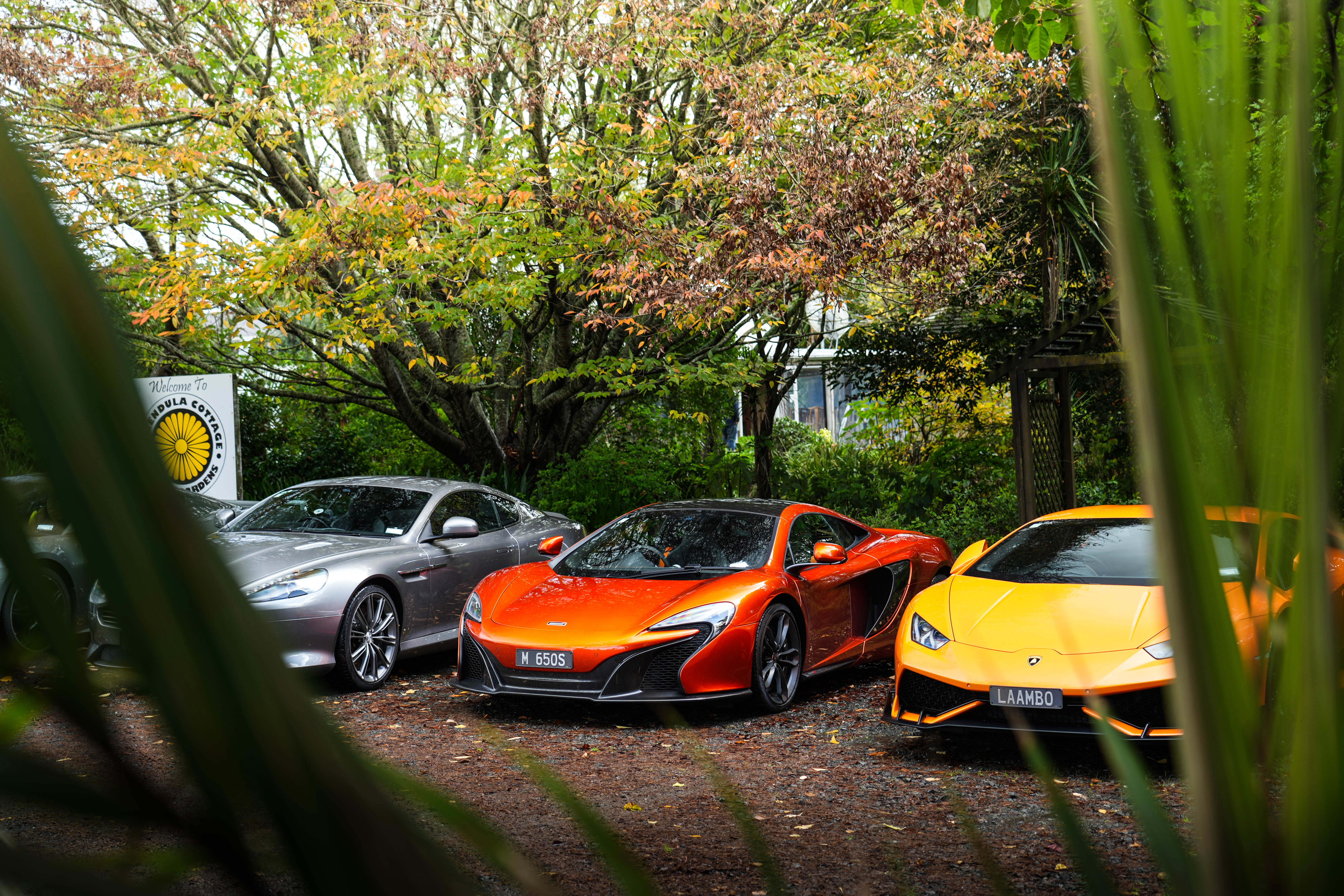 Half-Day Supercar Drive Experience Waikato Tours from Auckland