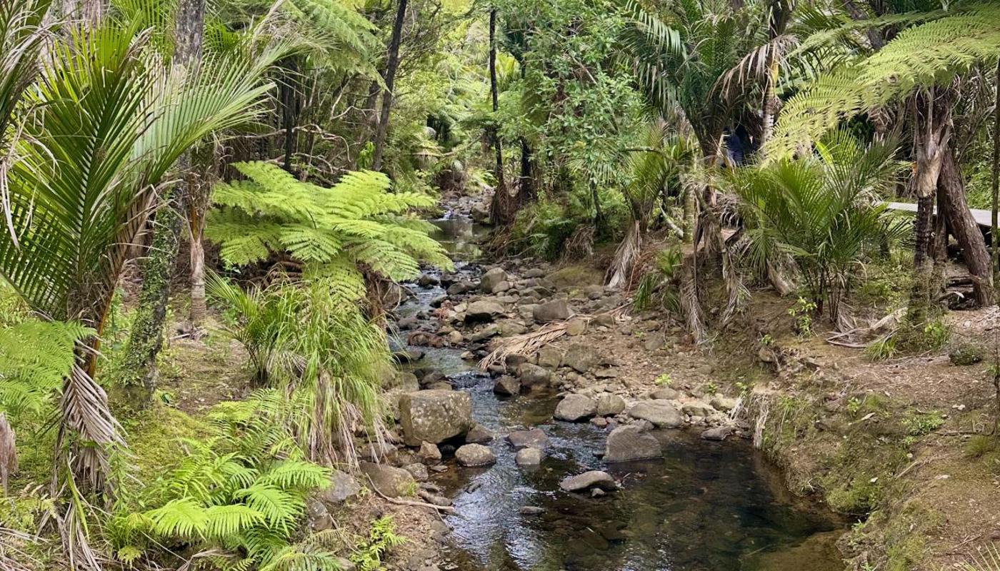Waitakere Regional Park
