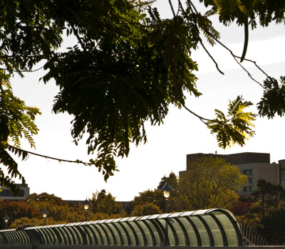 Nesuto St. Martins Apartment Hotel