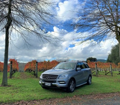 Auckland & Beyond Tours