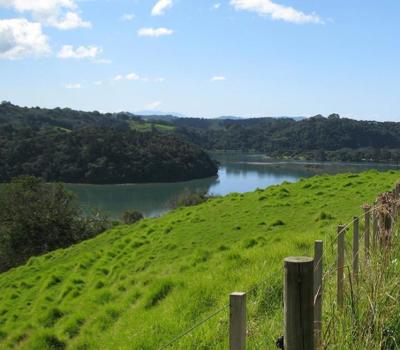 NZWINEPRO™ - Auckland Wine Tours