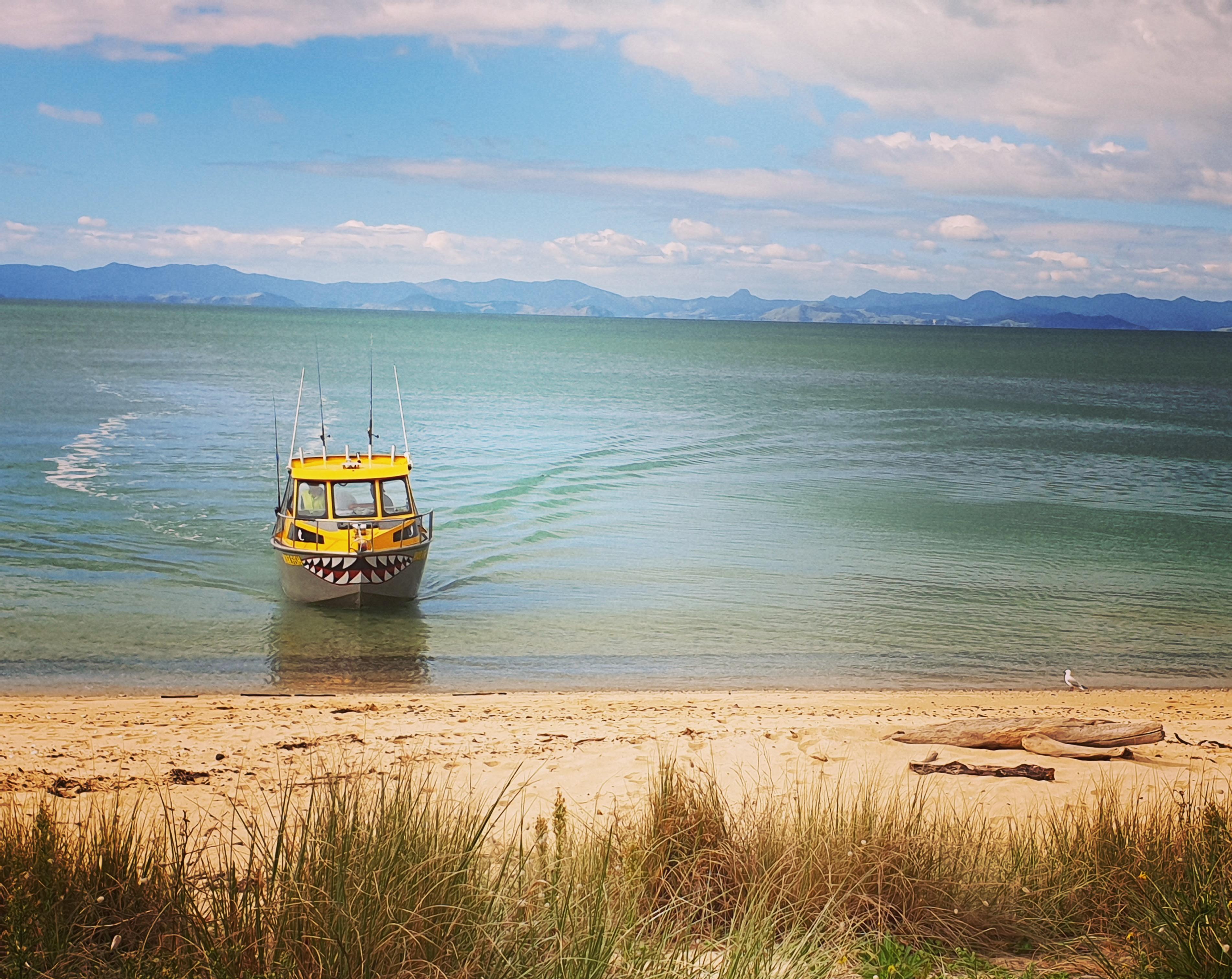 Chas'n Tail Charters