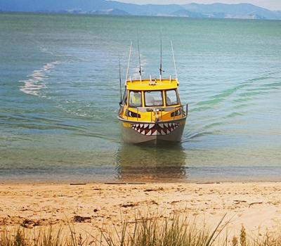 Chas'n Tail Charters