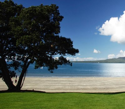 Auckland City Tour  GreatSights New Zealand