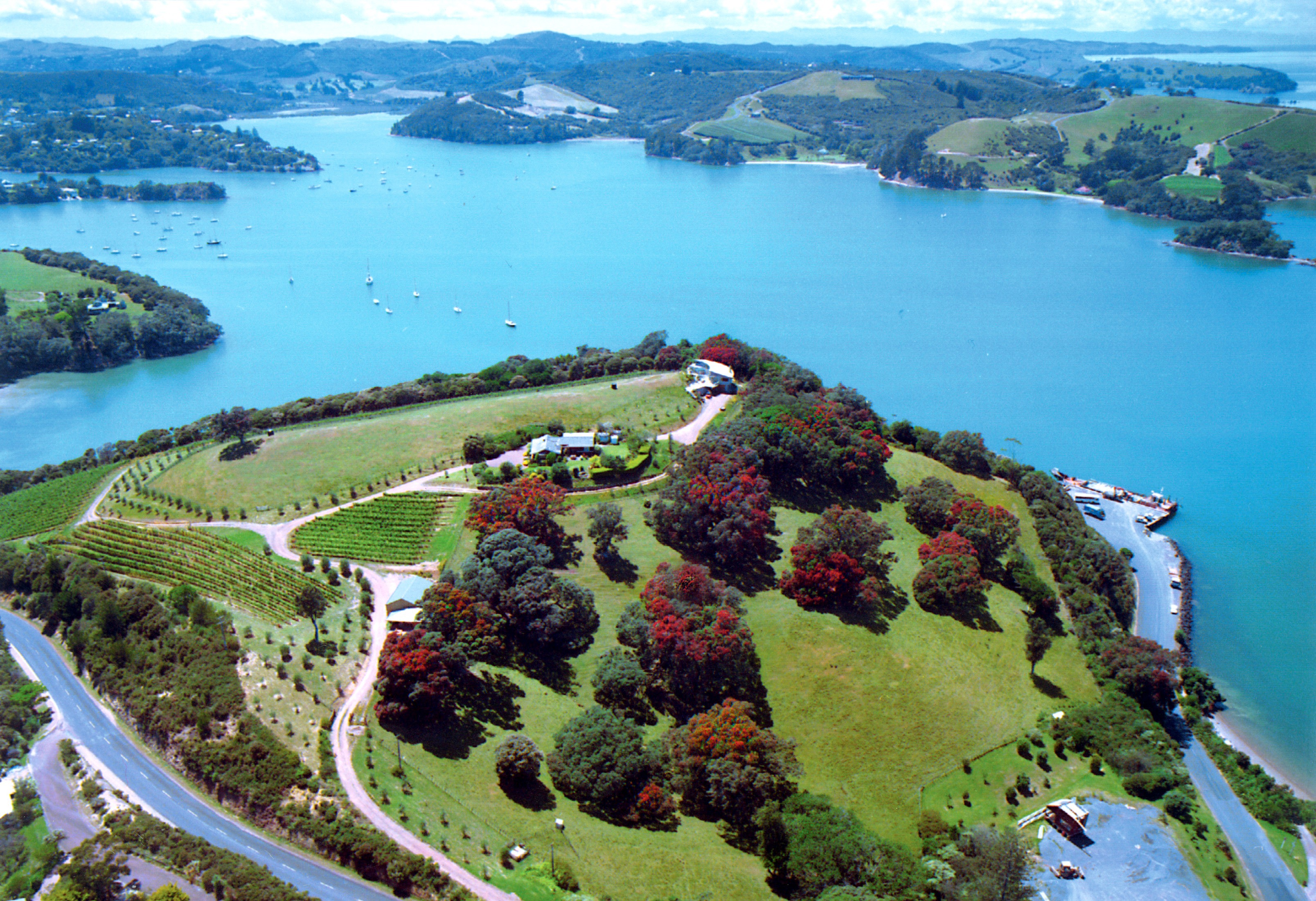Kennedy Point Vineyard and Guest House