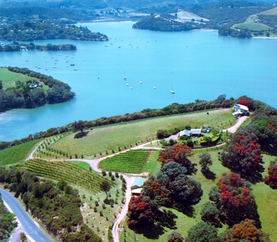 Kennedy Point Vineyard and Guest House