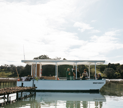 NZ Oyster Farm Tours