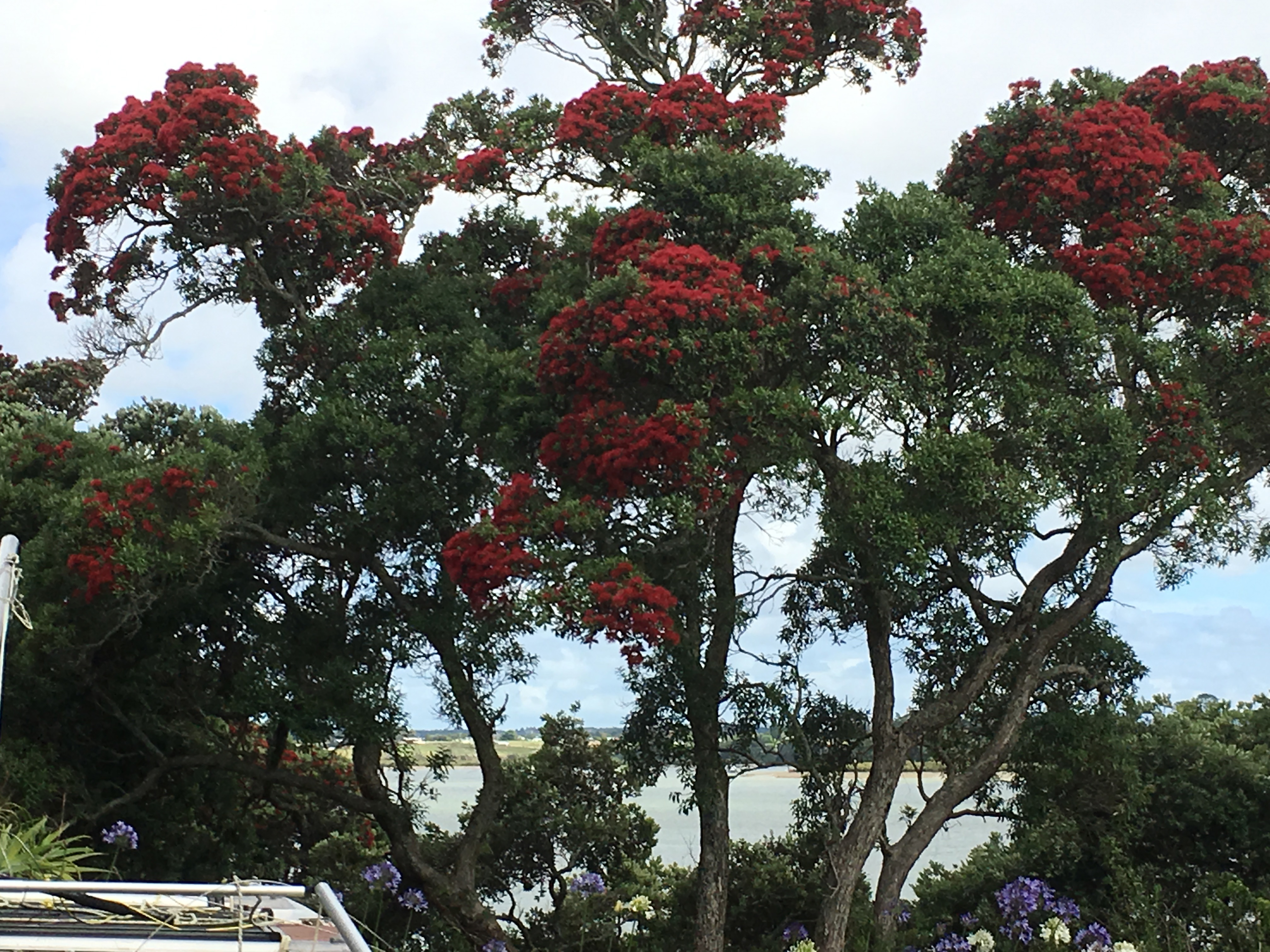 Clarks Beach Holiday Park