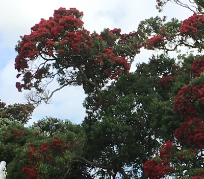 Clarks Beach Holiday Park