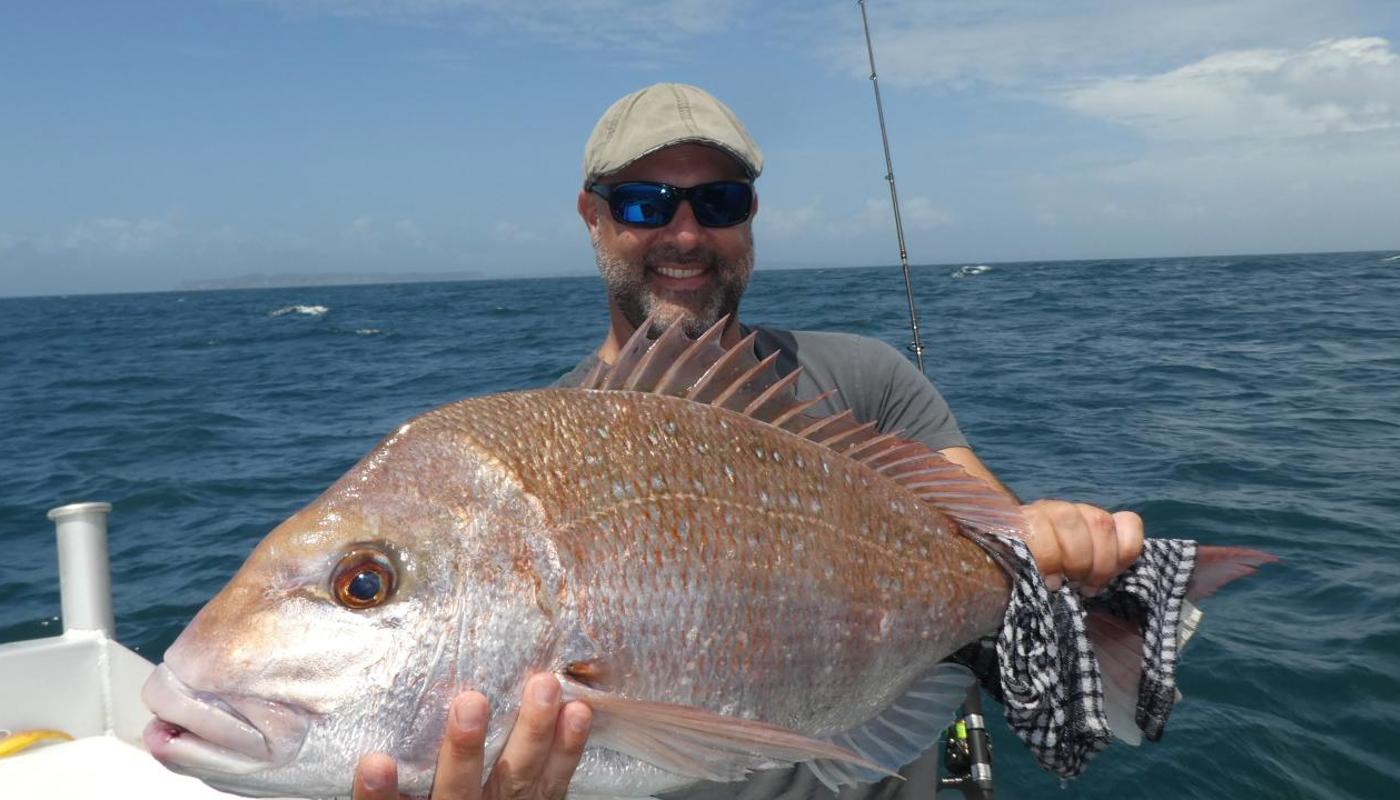 Lure caught snapper