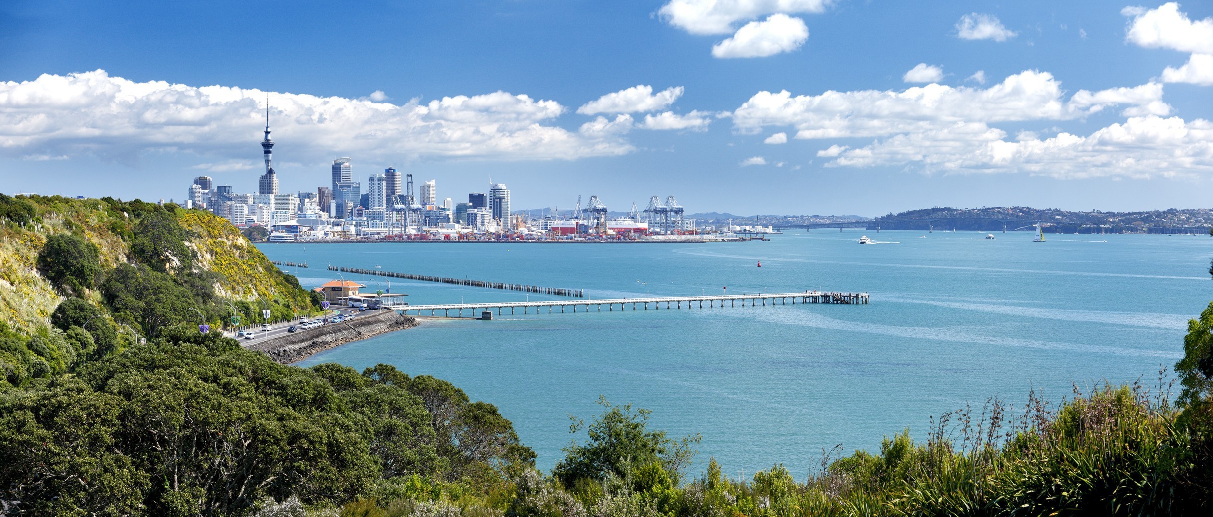 Auckland City Tours