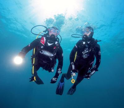 New Zealand Diving Dive Charters