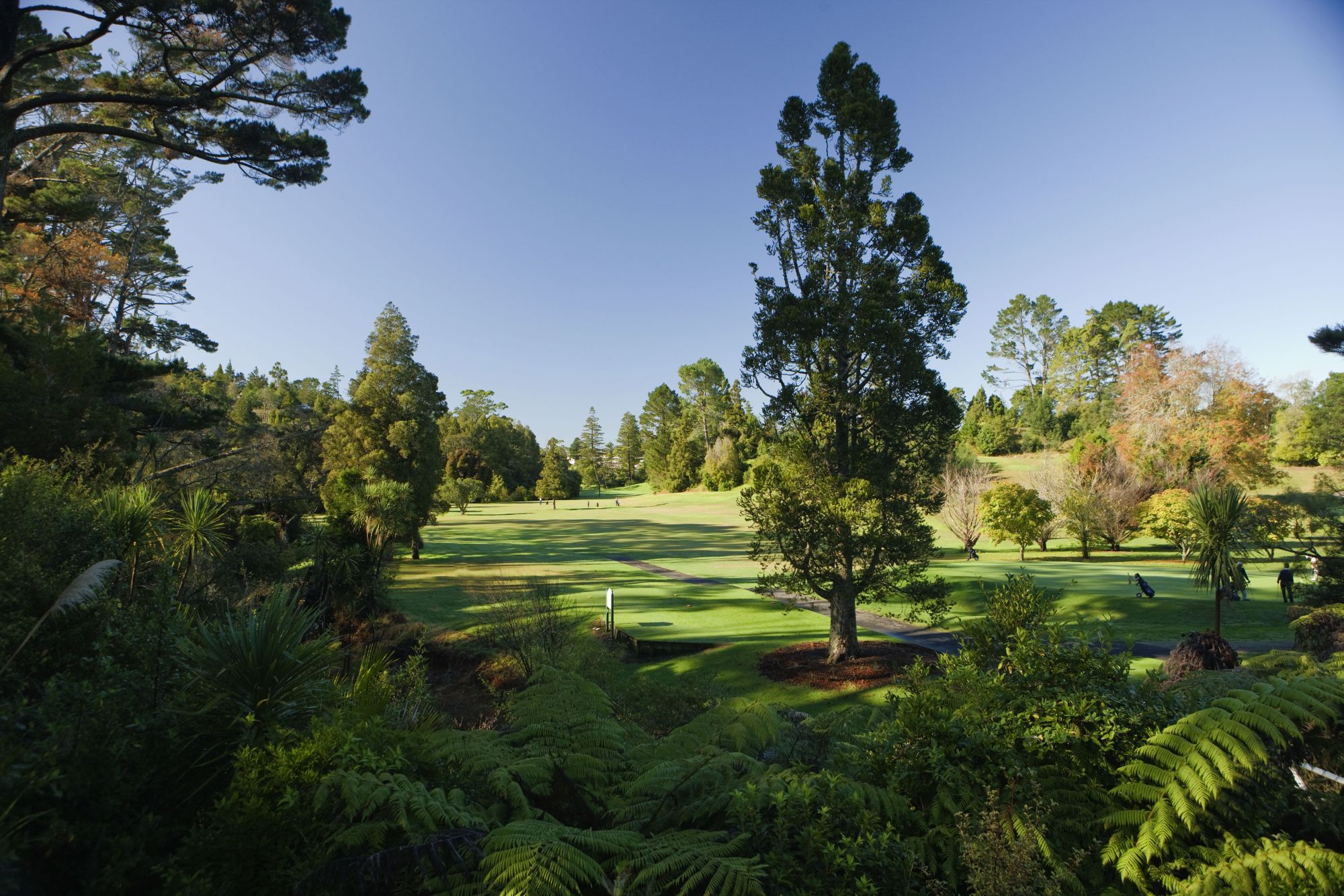 Redwood Park Golf Club Inc.